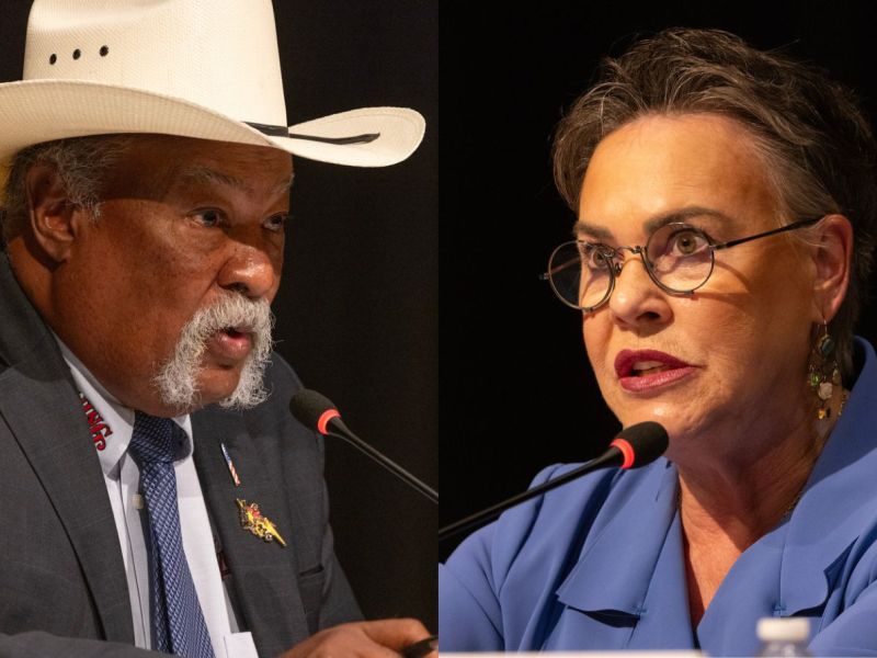 Republican Hageman will face Democrat Byrd after landslide victories in Wyoming’s US Senate primary