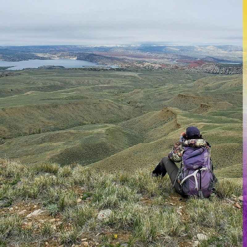 Female biologists in Wyoming responsible for groundbreaking research