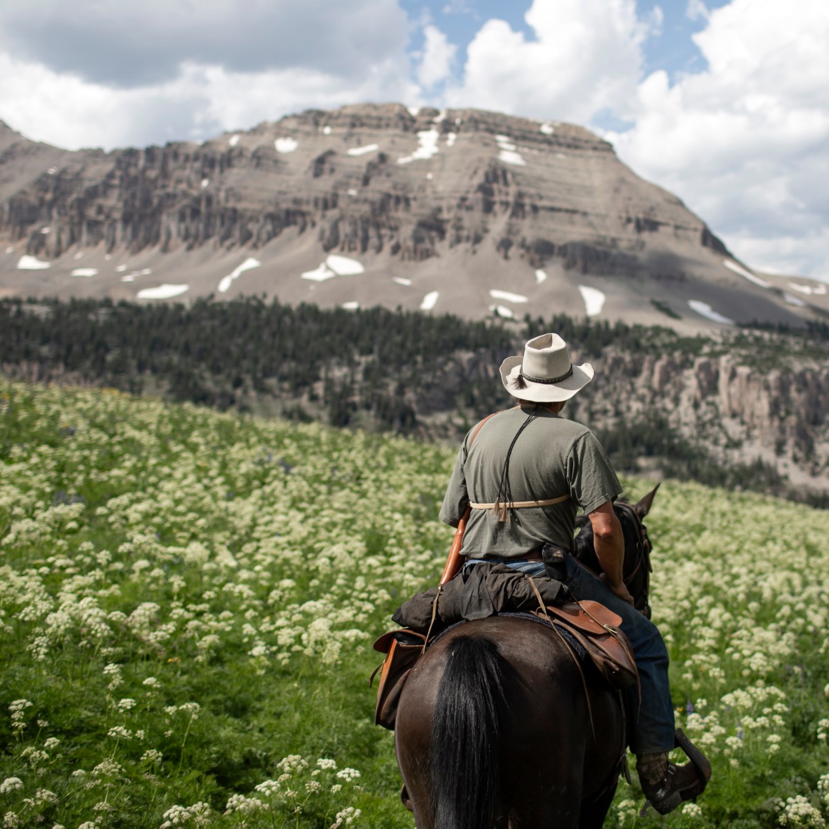 Horseback politics