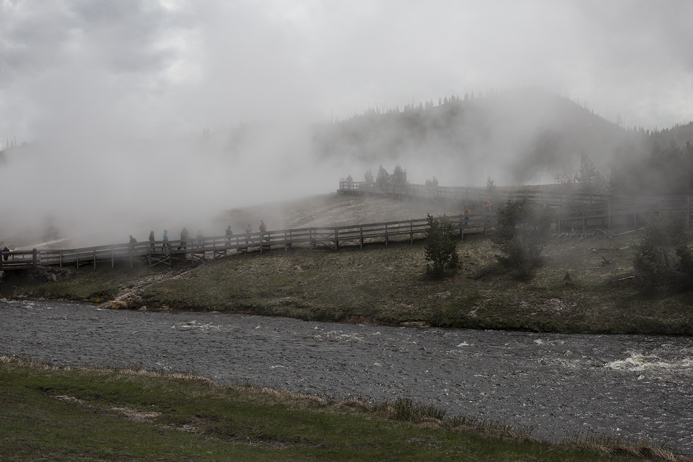 Yellowstone bear attack site was closed to spring hiking until 2024 to reduce human-grizzly conflicts