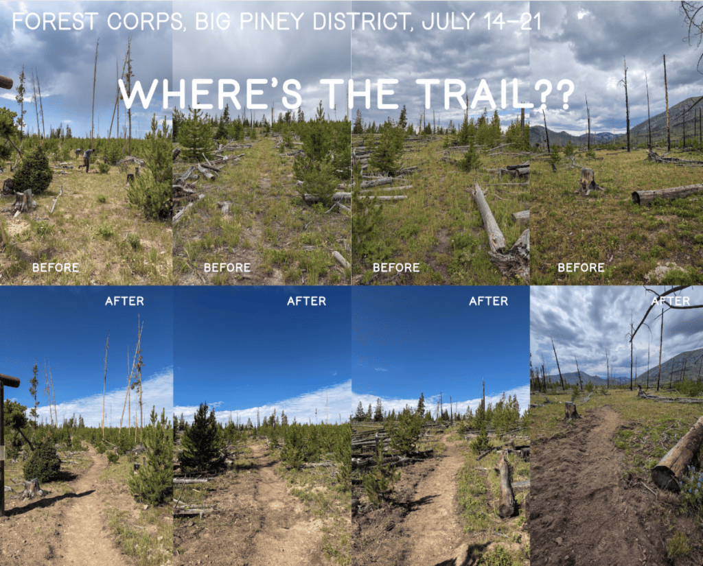 80 trail miles, 700 downed trees: Wyoming Forest Corps brings muscle to maintenance backlog