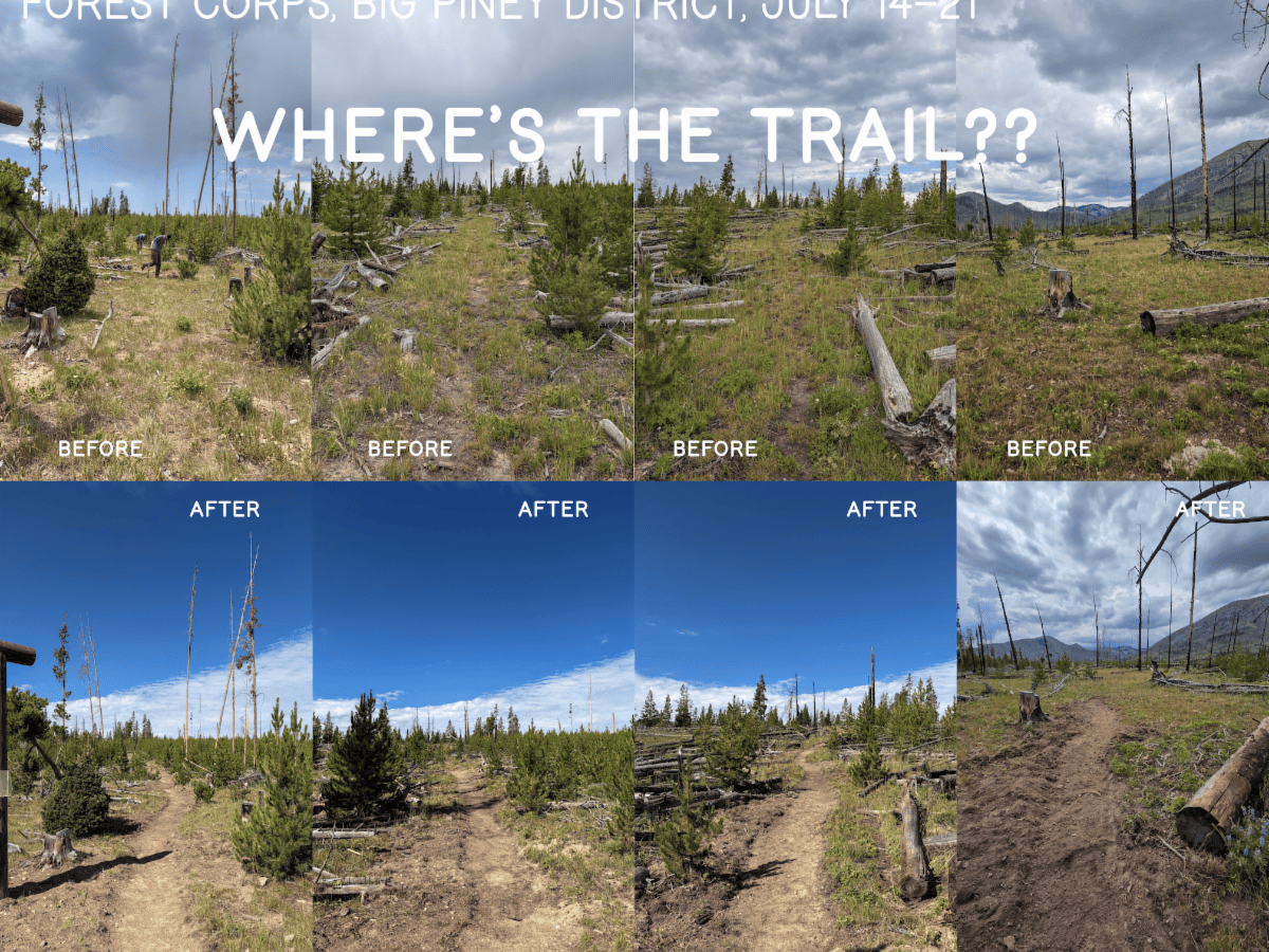 80 trail miles, 700 downed trees: Wyoming Forest Corps brings muscle to maintenance backlog