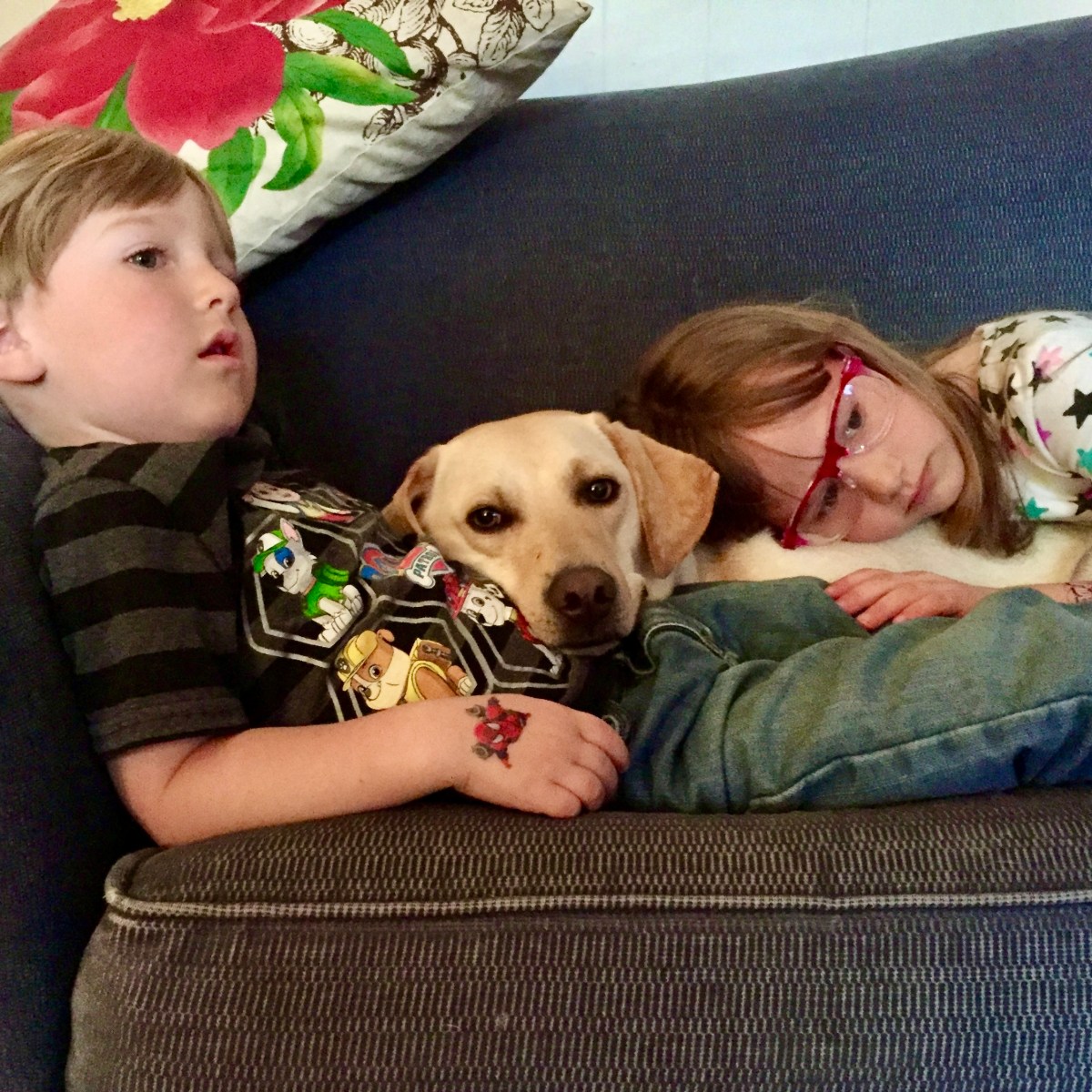 Is there a lesson from a dying dog?
