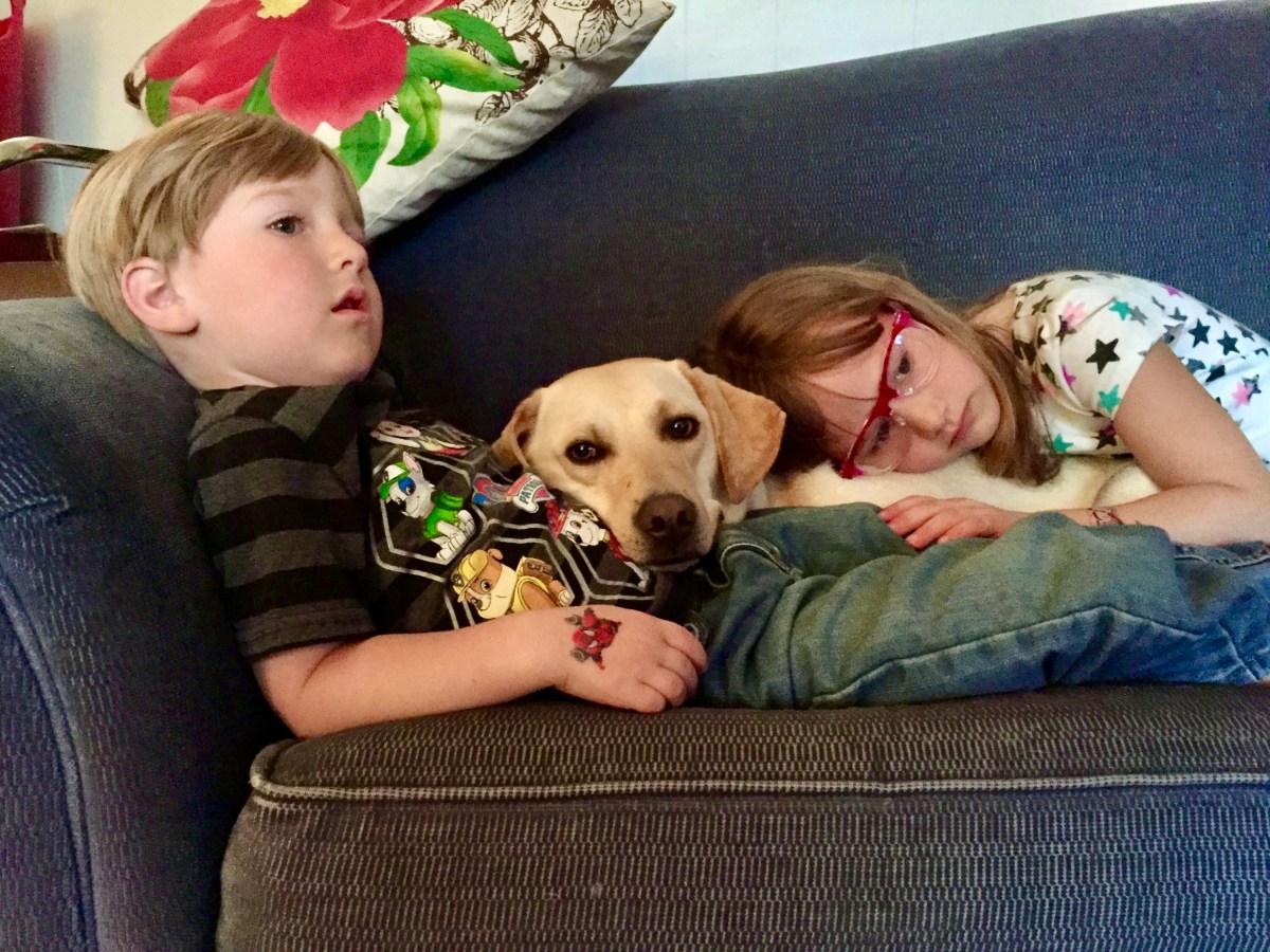 Is there a lesson from a dying dog?