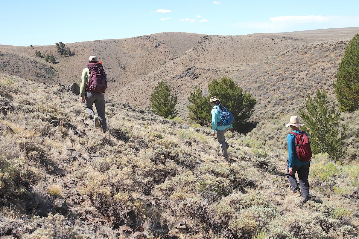 People hiking through sagebrush