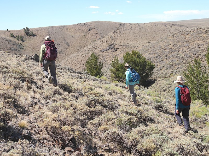 People hiking through sagebrush