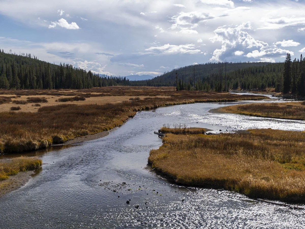 Defending Oregon man charged in Yellowstone, conservative legal group dusts off Sunseri defense