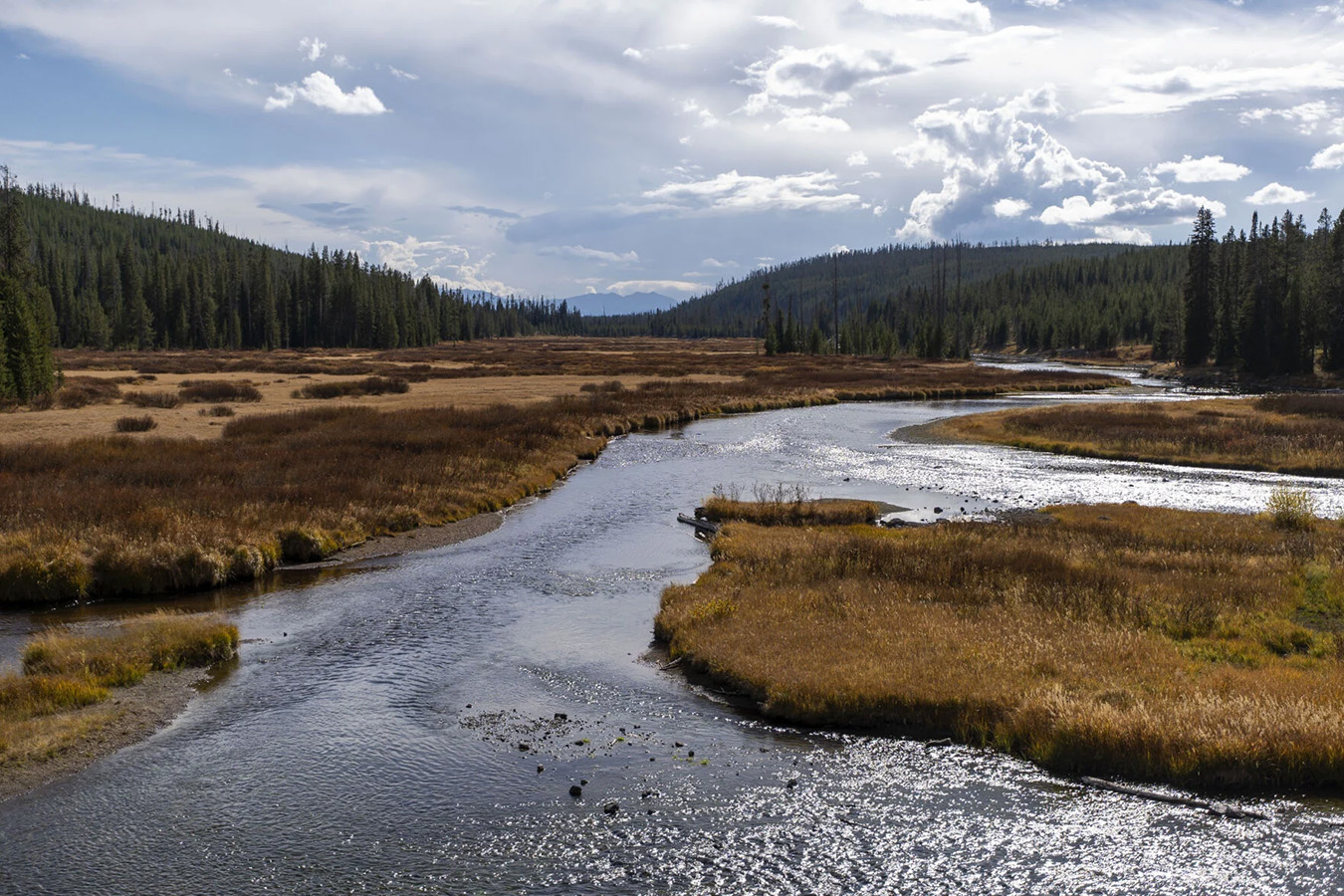 Defending Oregon man charged in Yellowstone, conservative legal group dusts off Sunseri defense