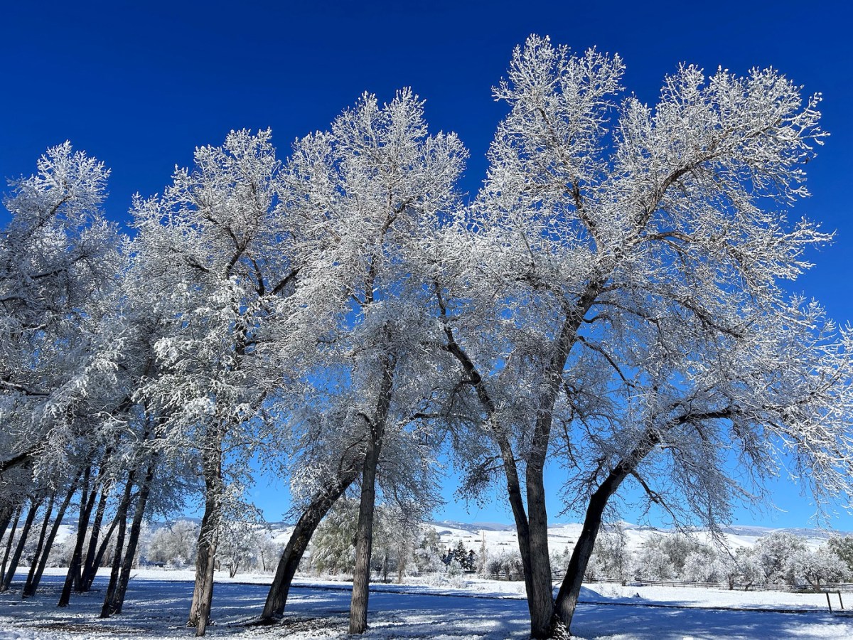 Sticky spring snow a relief across Wyoming
