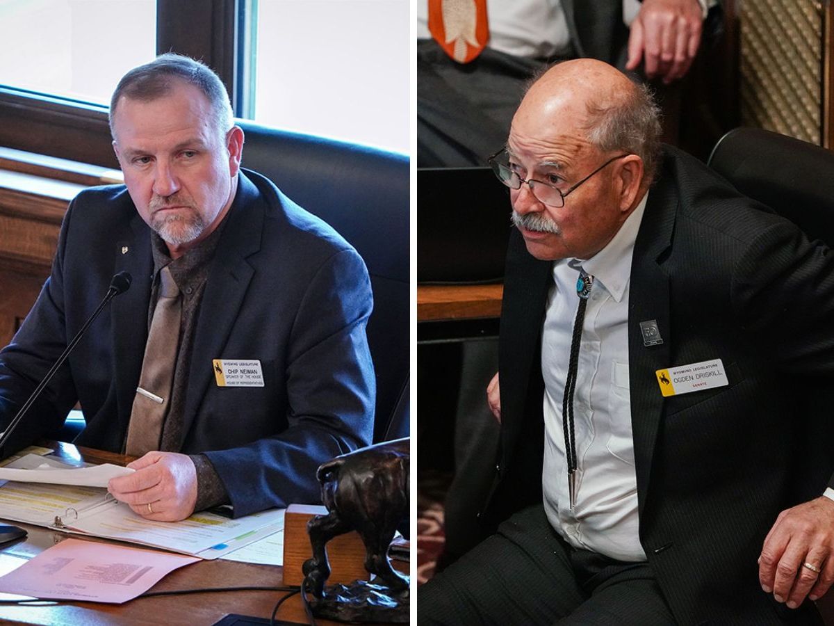 Senate showdown between Neiman and Driskill highlights Republican divide