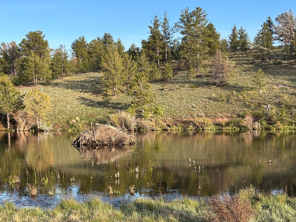Public lands travelogue 2026: Hidden gems