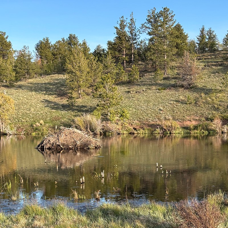 Public lands travelogue 2026: Hidden gems