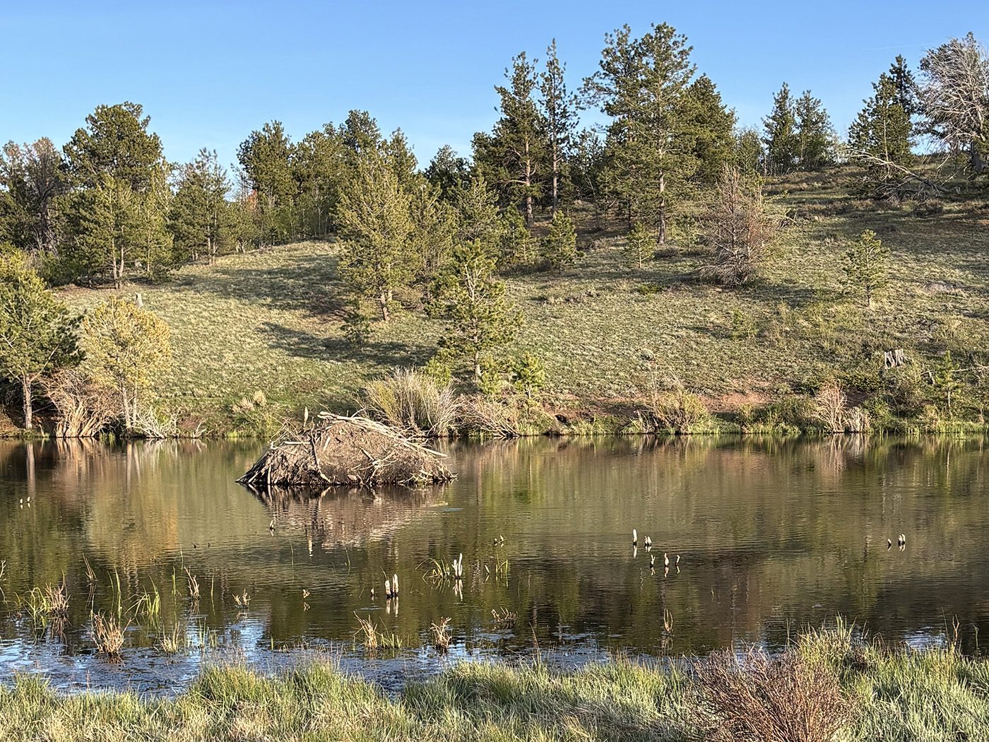 Public lands travelogue 2026: Hidden gems